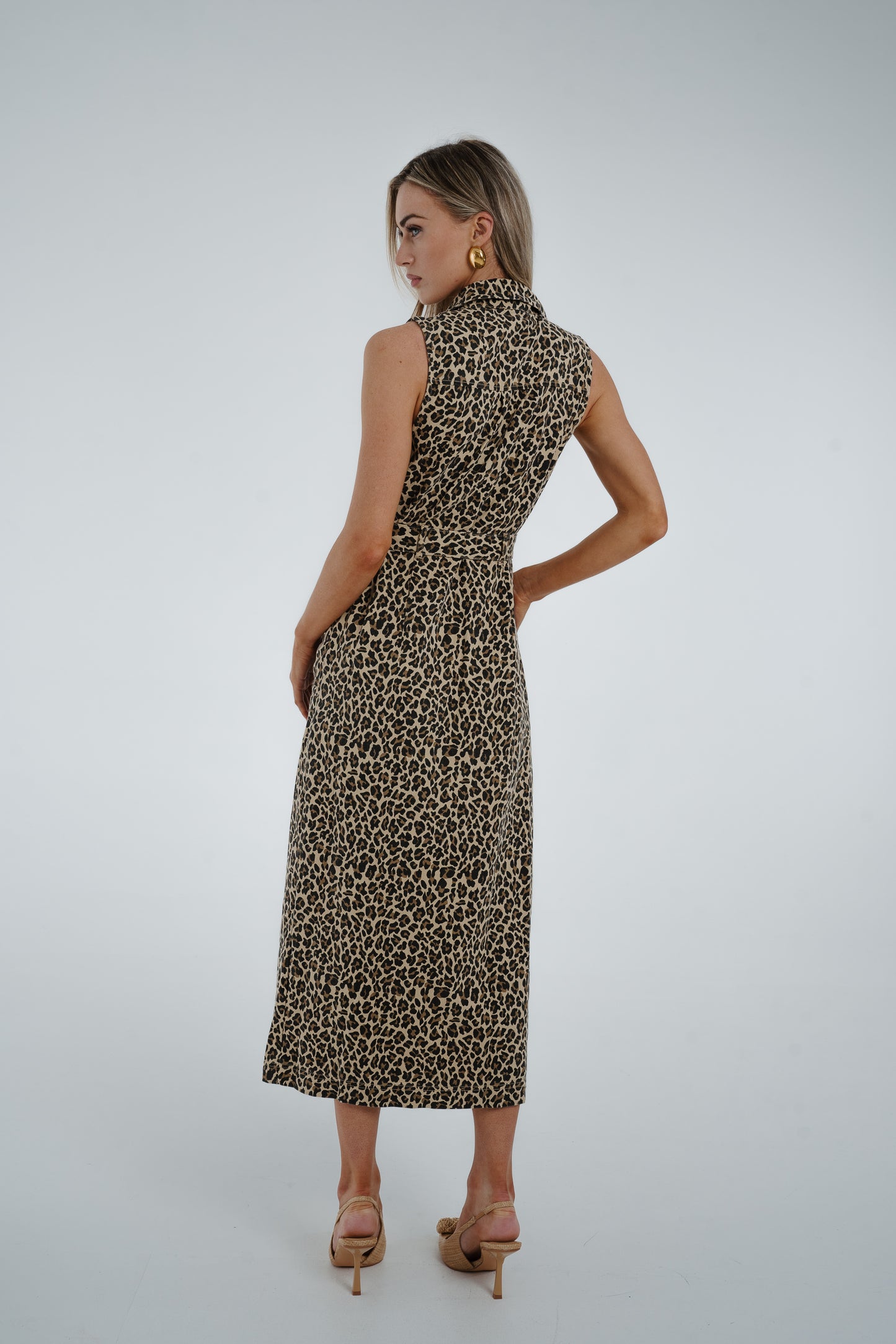 Cora Sleeveless Dress In Leopard Print
