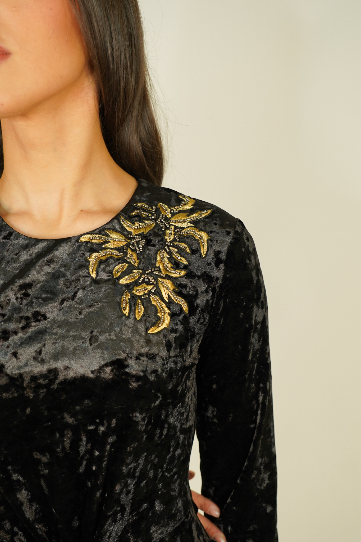 Eva Embroidered Velvet Dress In Black