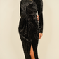 Eva Embroidered Velvet Dress In Black
