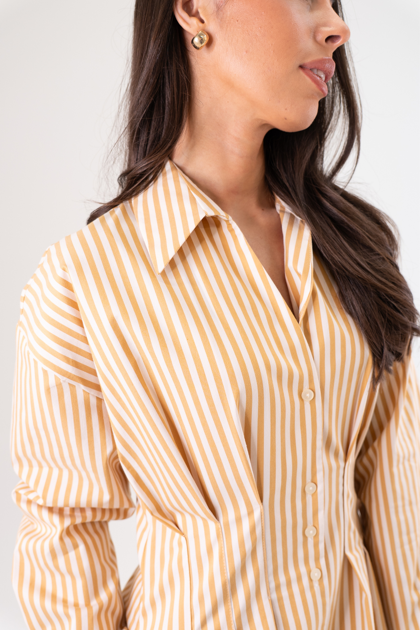 Eva Stripe Shirt Dress In Tan Mix