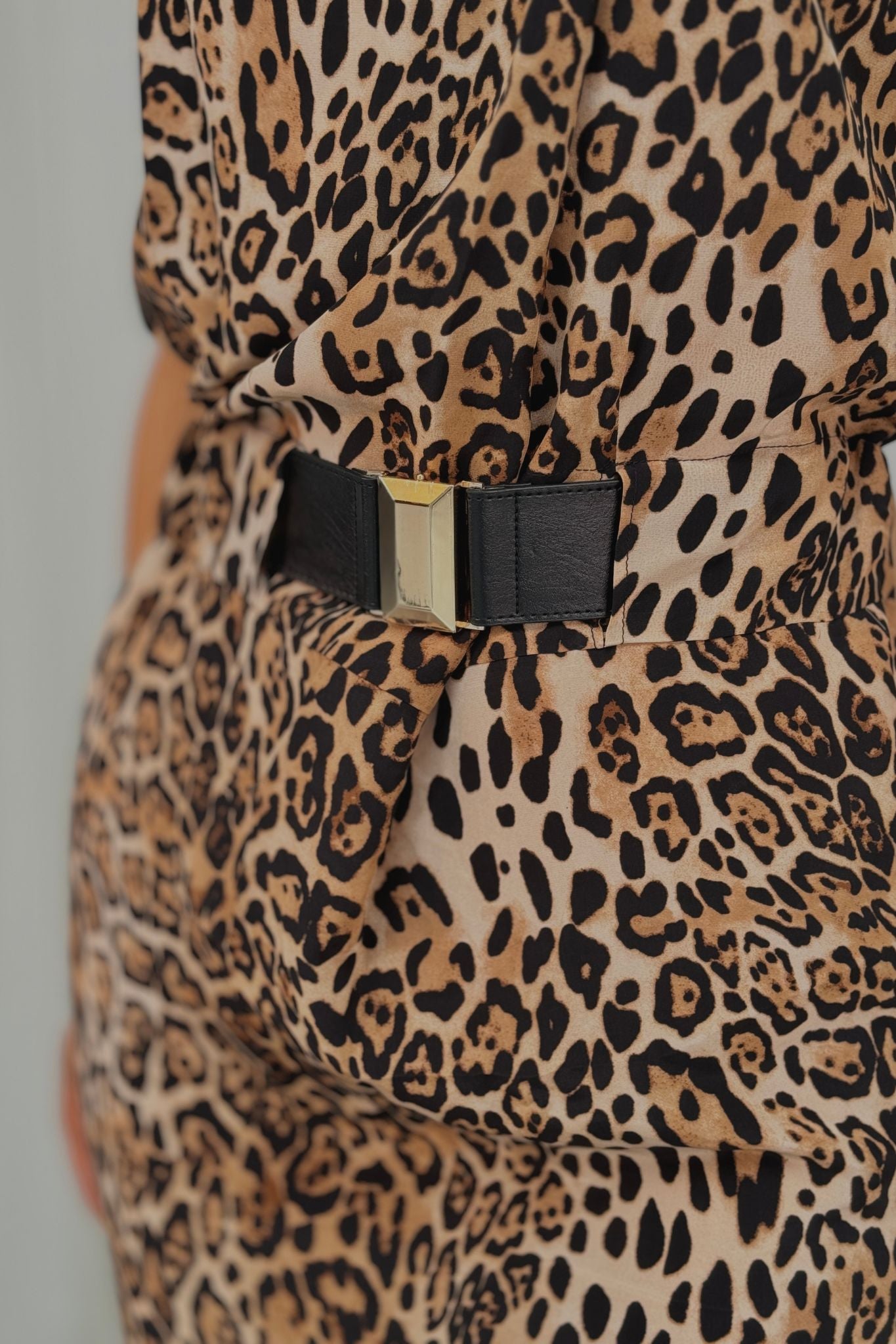 Eva Belted Dress In Leopard Print