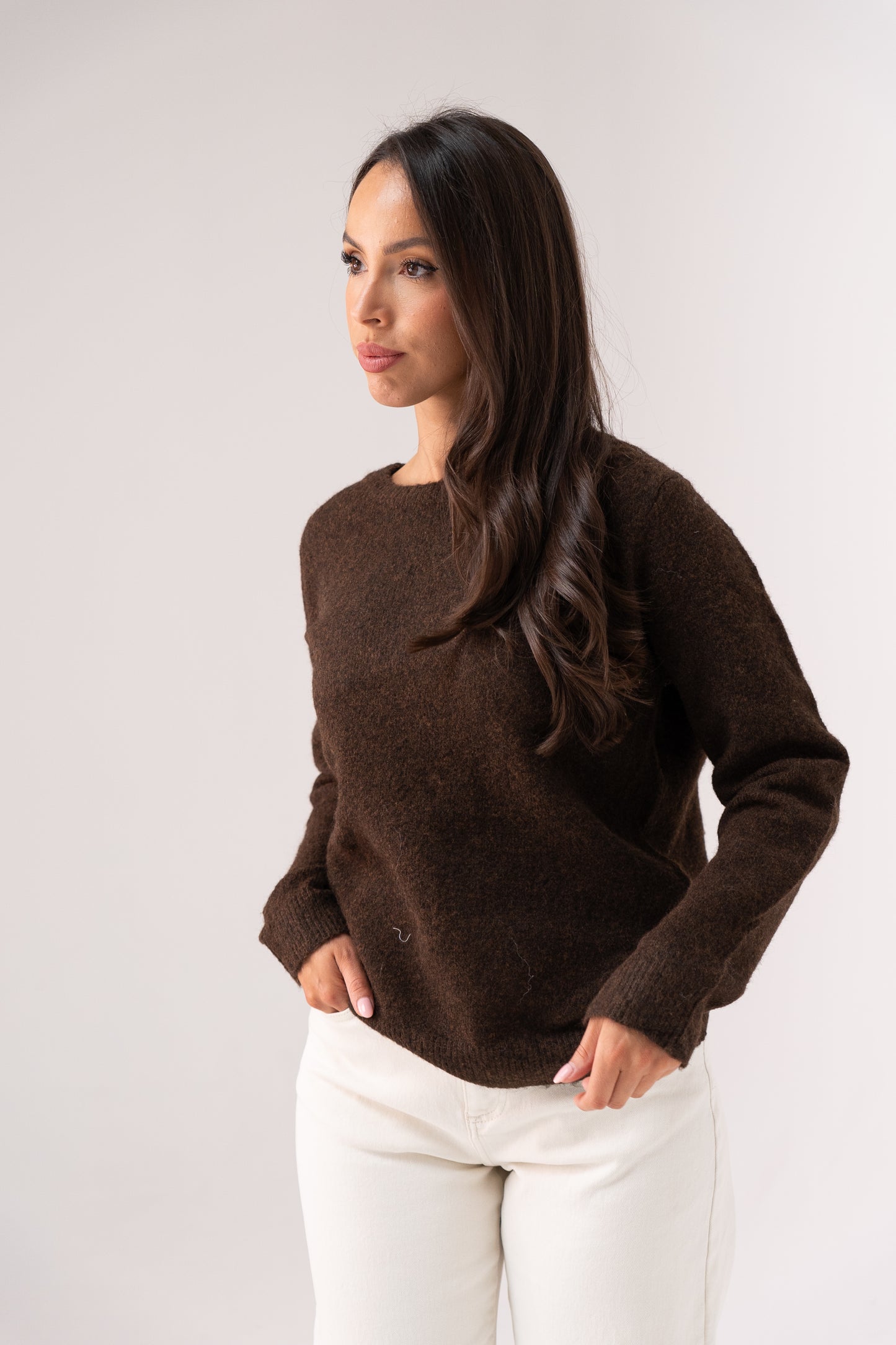 Belle Polka Dot Bow Jumper In Chocolate