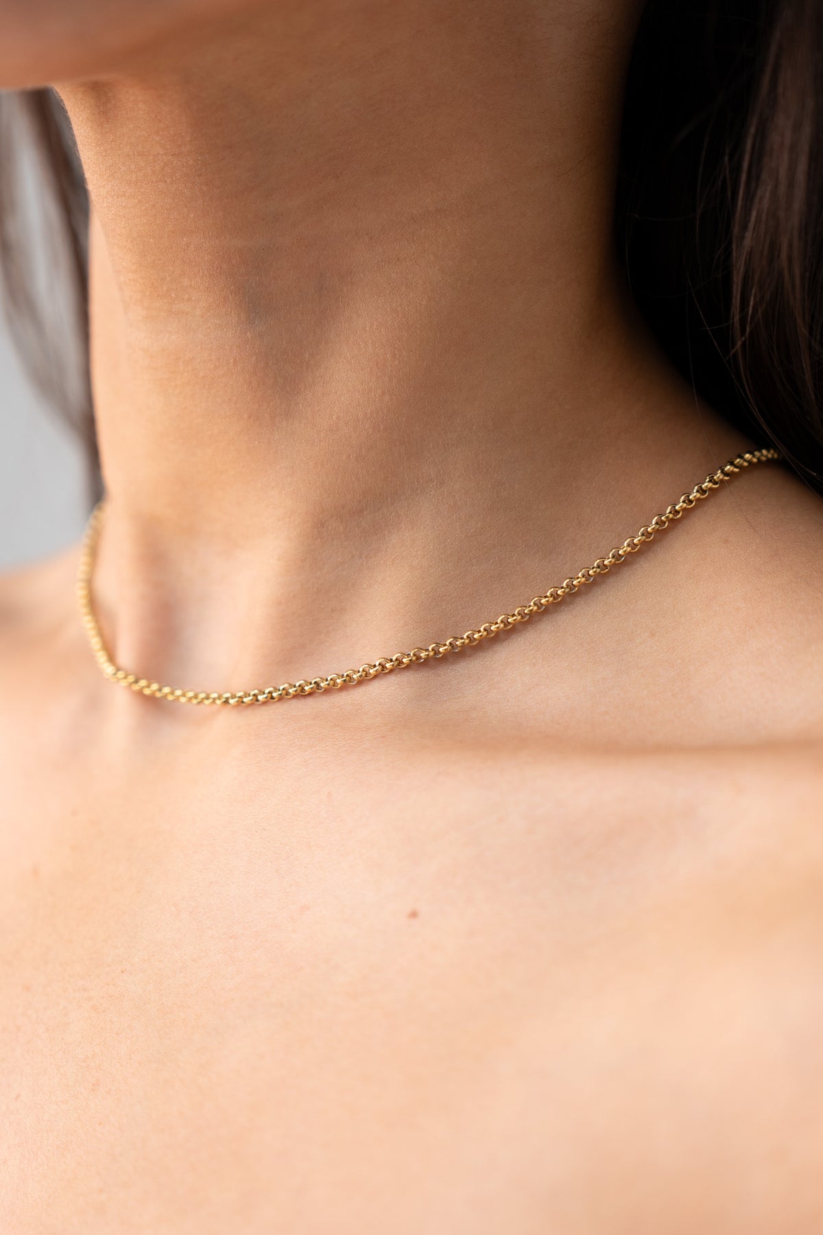 Olive Belcher Chain Necklace In Gold