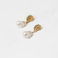 Olive Shell Pearl Drop Earrings In Gold