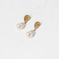 Olive Shell Pearl Drop Earrings In Gold