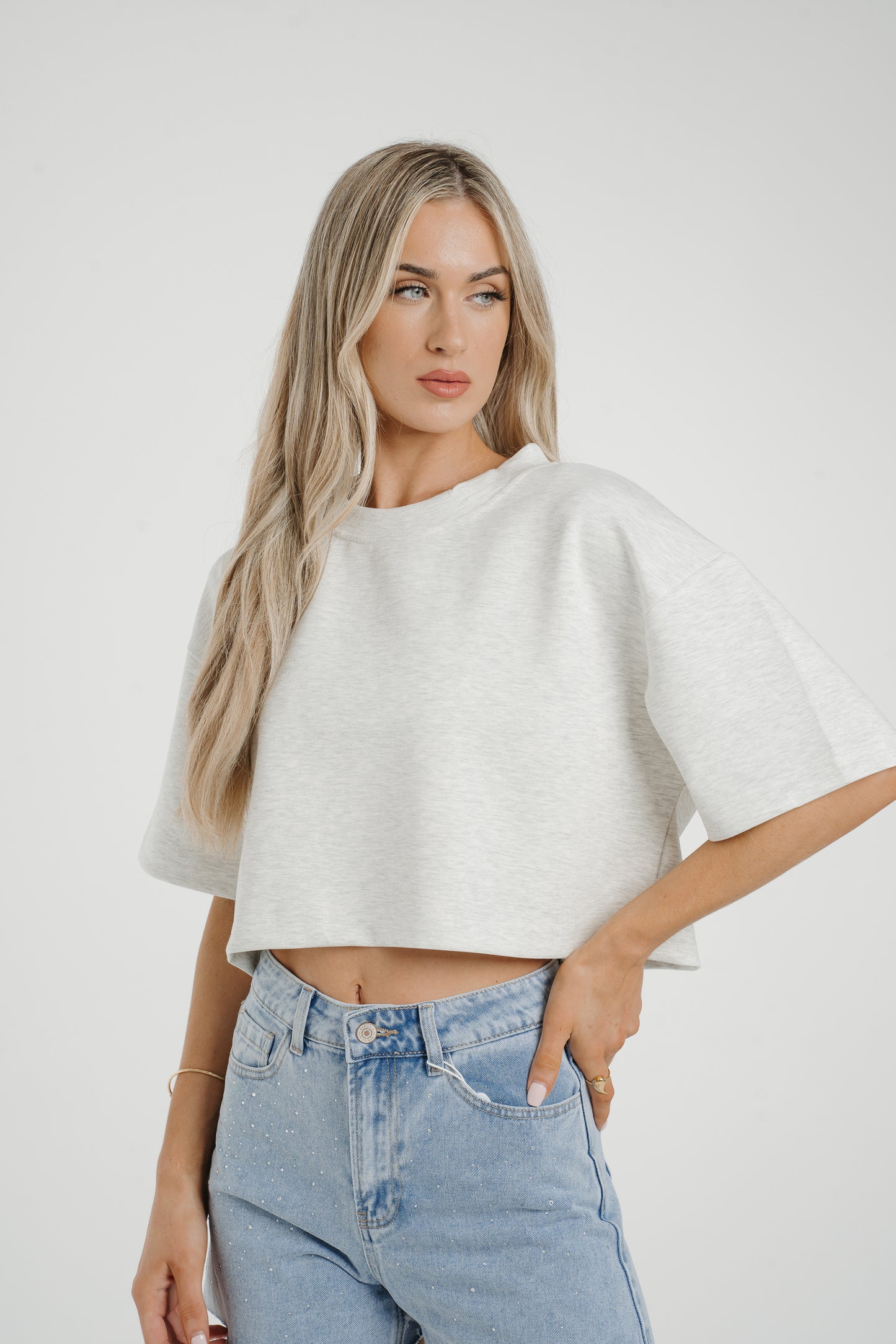 Jane Cropped T-Shirt In Grey Wash