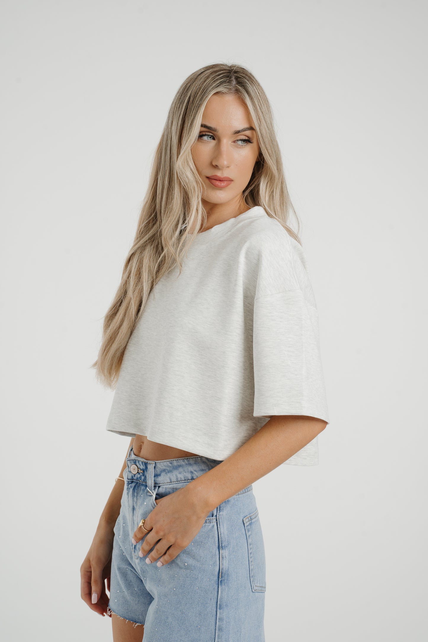 Jane Cropped T-Shirt In Grey Wash