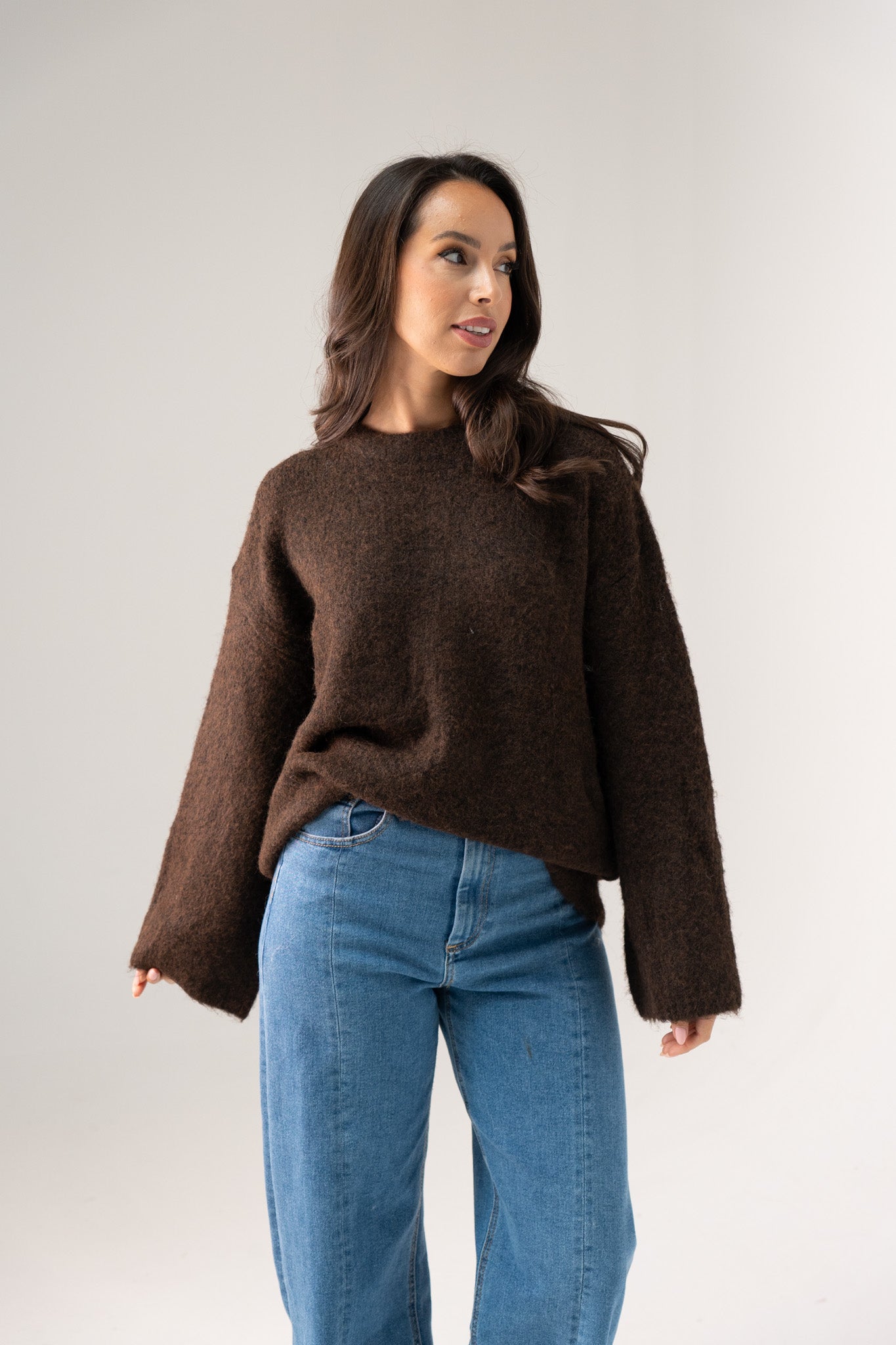 Elsa Round Neck Jumper In Coffee