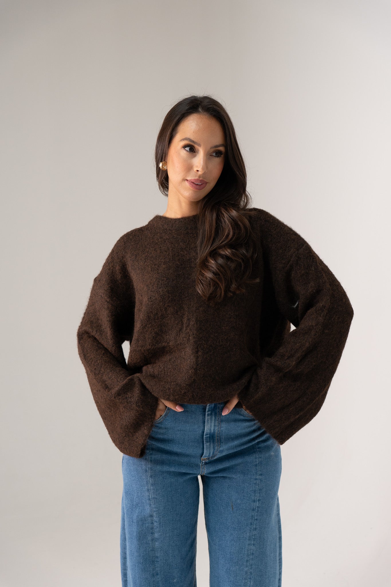 Elsa Round Neck Jumper In Coffee