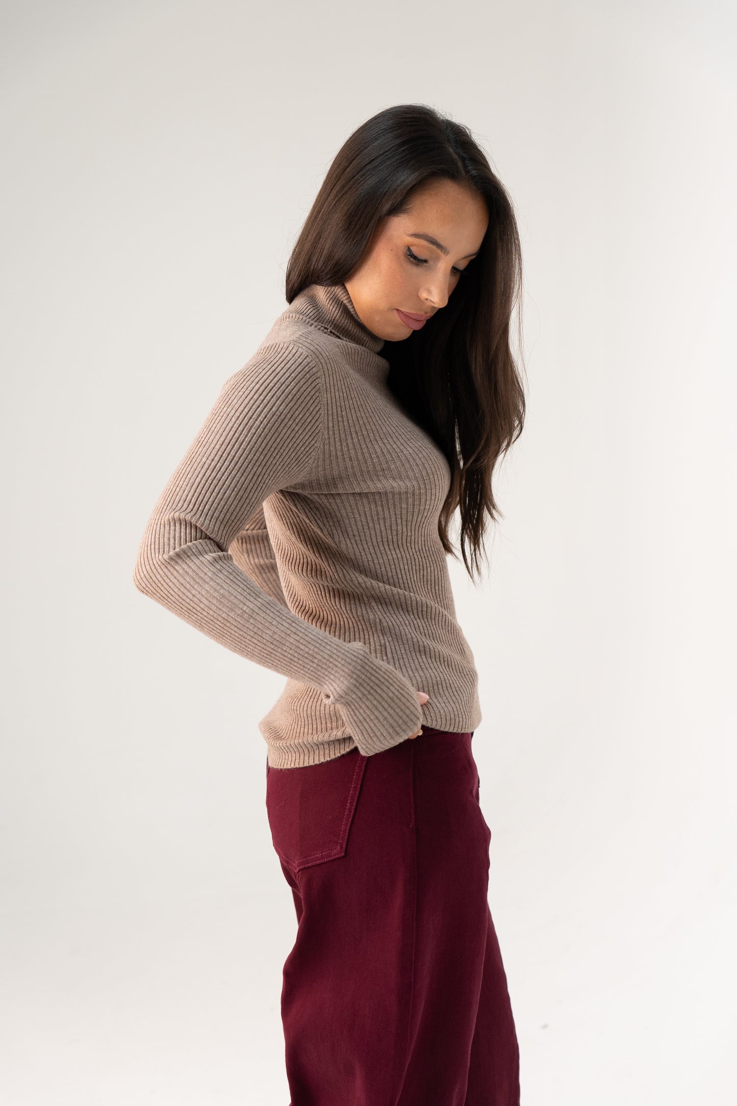 Kendra Polo Neck Top In Taupe