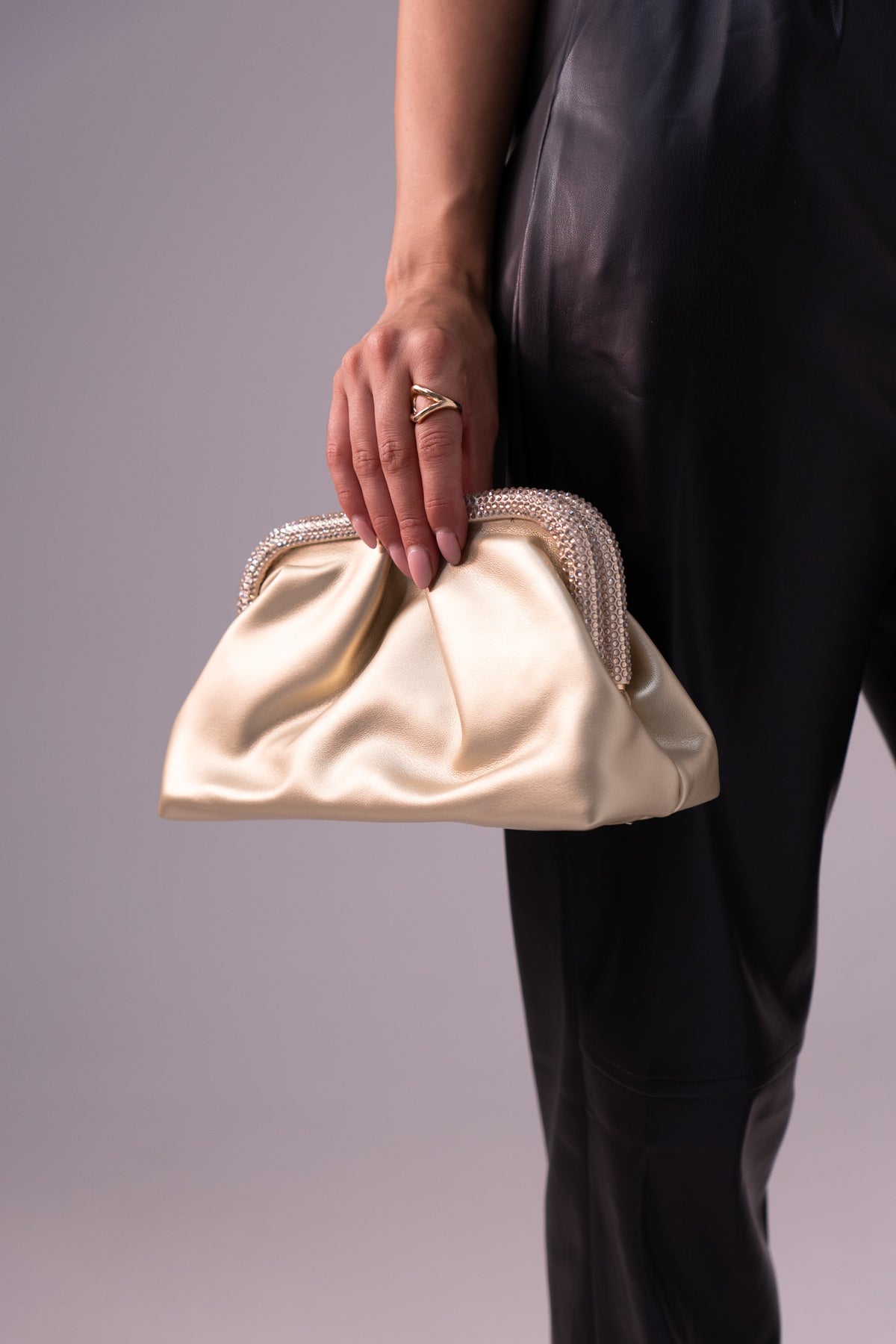 Polly Embellished Pouch Bag In Champagne